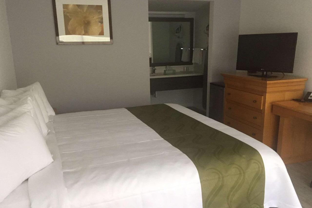 Quality Inn University North I-75 Гейнсвилл Номер фото